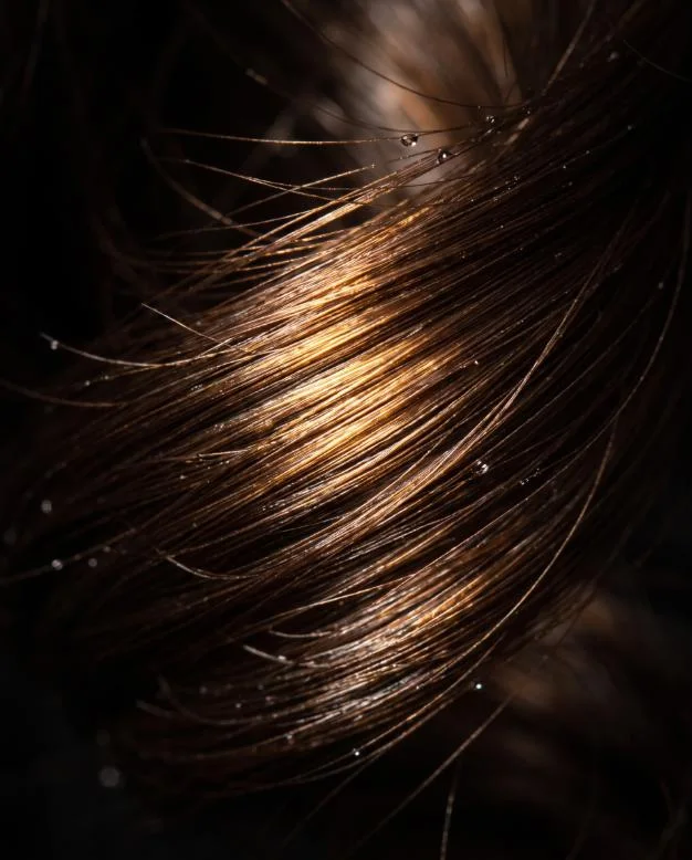 Treatments at HairBiba: wella, moroccanoil and olaplex treatments that repair and shine